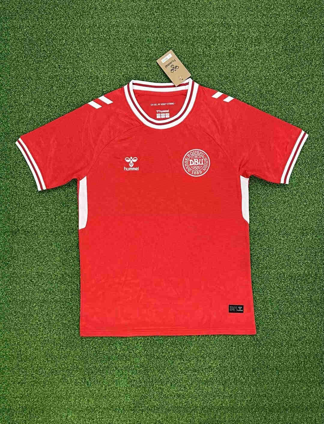 2024-2025 Denmark home