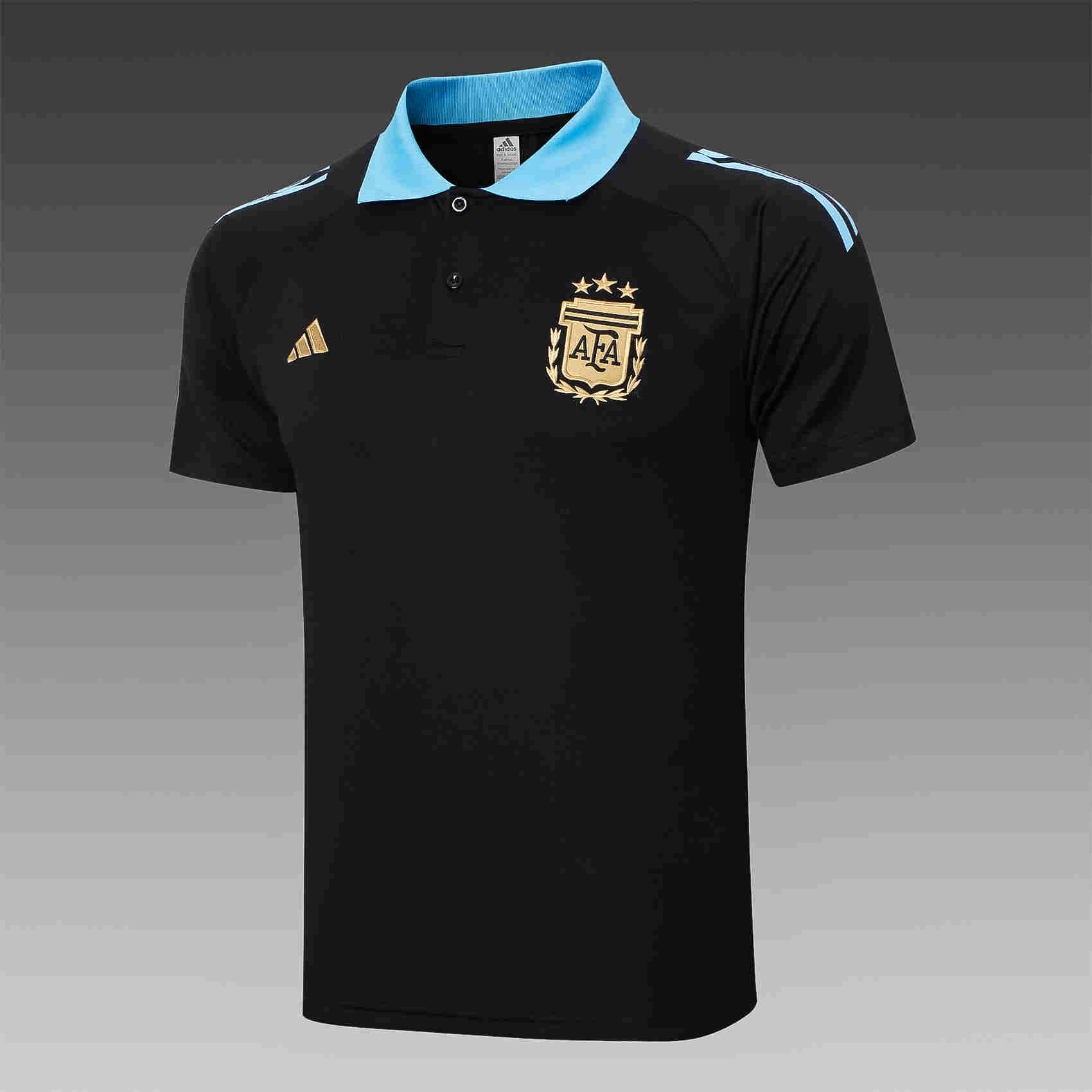 2024-2025 Argentina  training  Polo adult