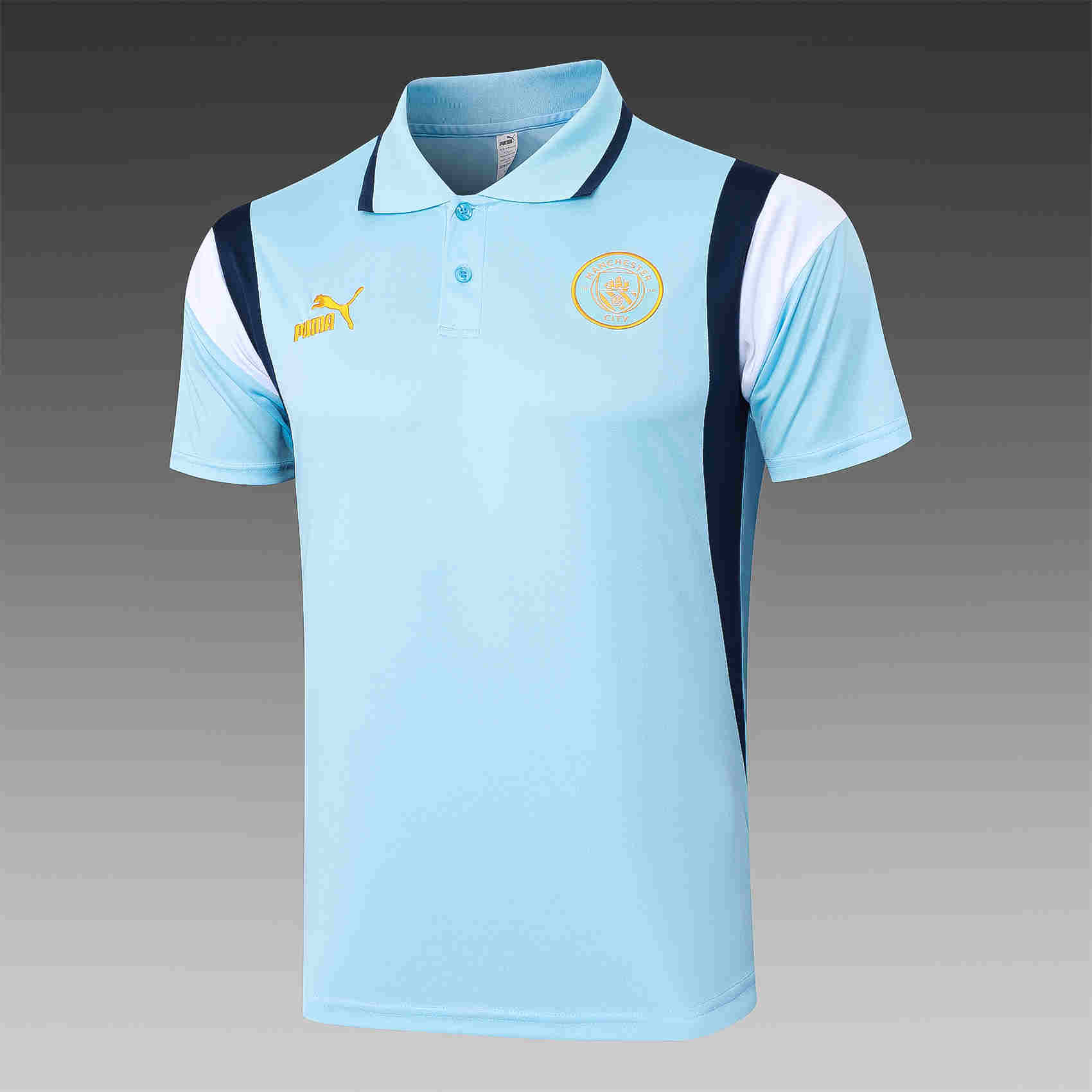 2023-2024  Manchester city  Adult Training Polo 815