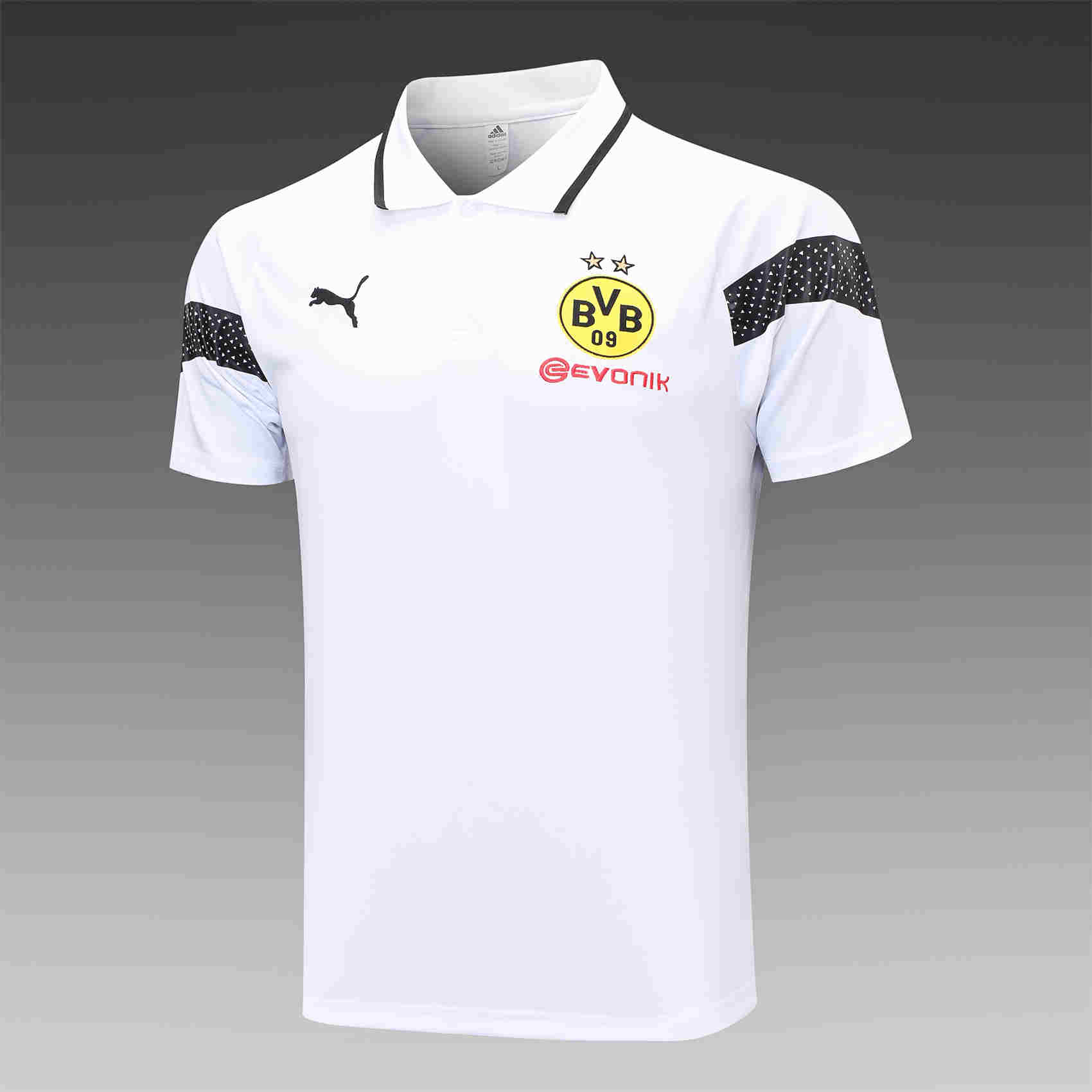 2023-2024  BORUSSIA DORTMUND Training  Polo  adult