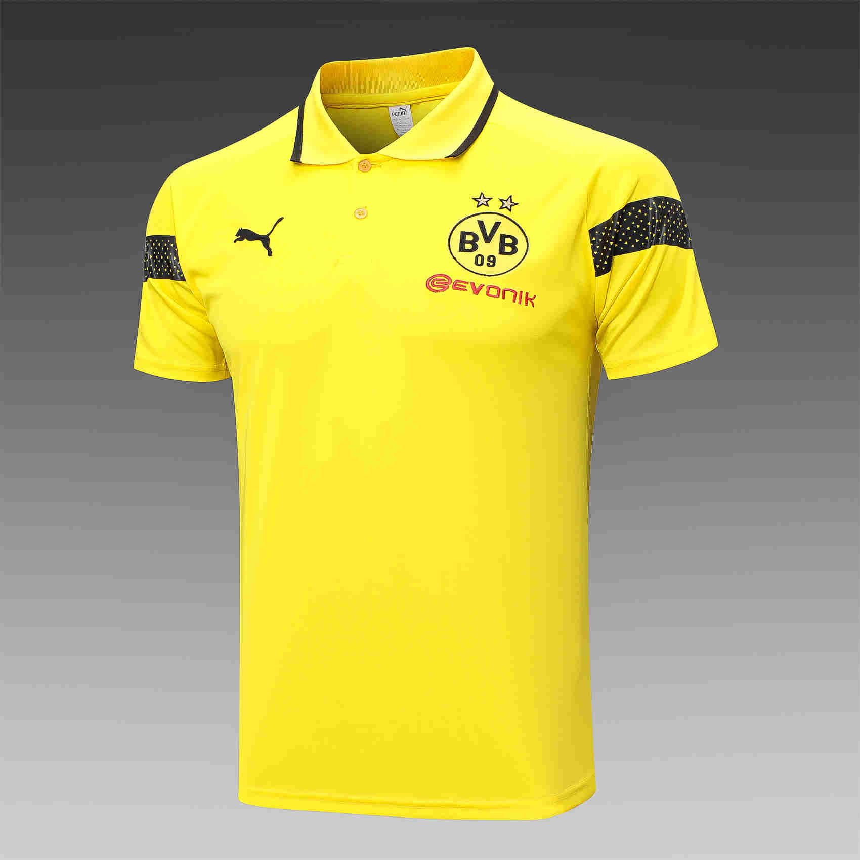 2023-2024  BORUSSIA DORTMUND Training  Polo  adult