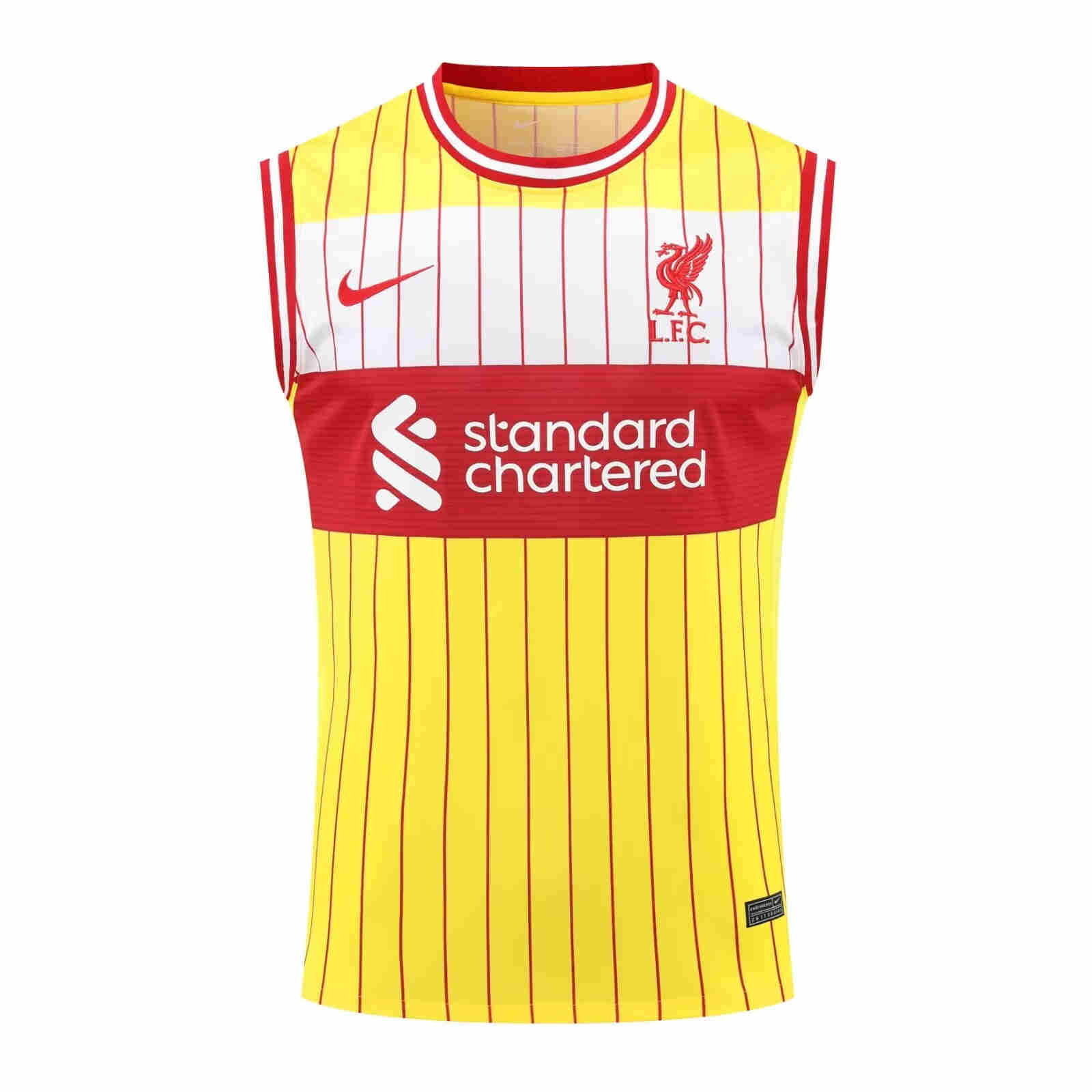 2024-2025  Liverpool   Training vest  adult  