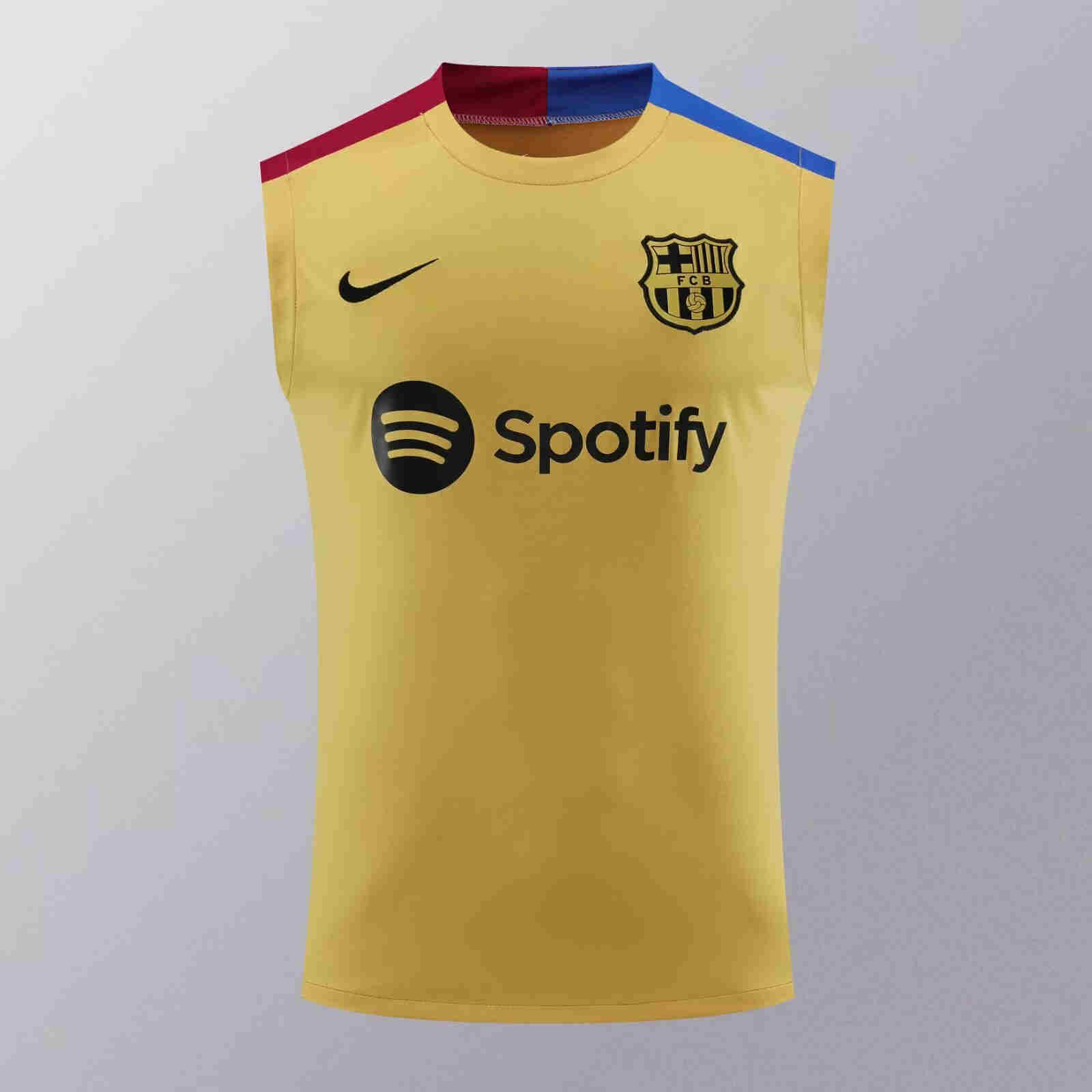 2024-2025  Barcelona Training vest   adult  