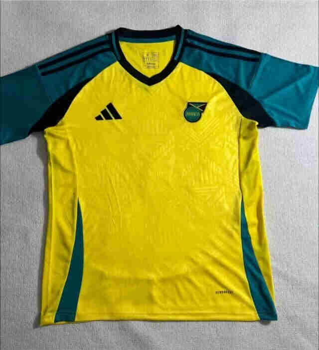 2024-2025 Jamaica home