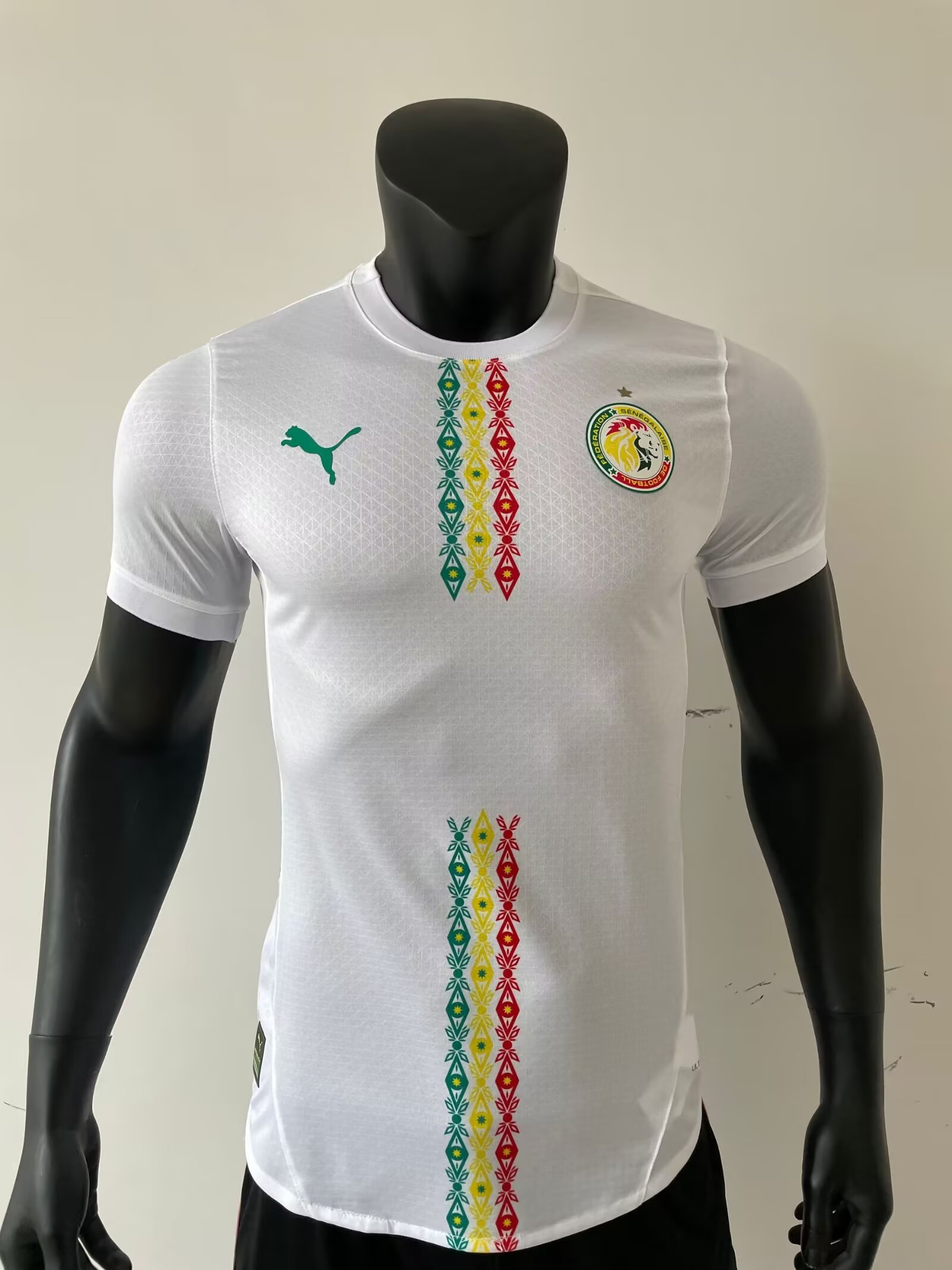 2024-2025 Senegal home jersey player