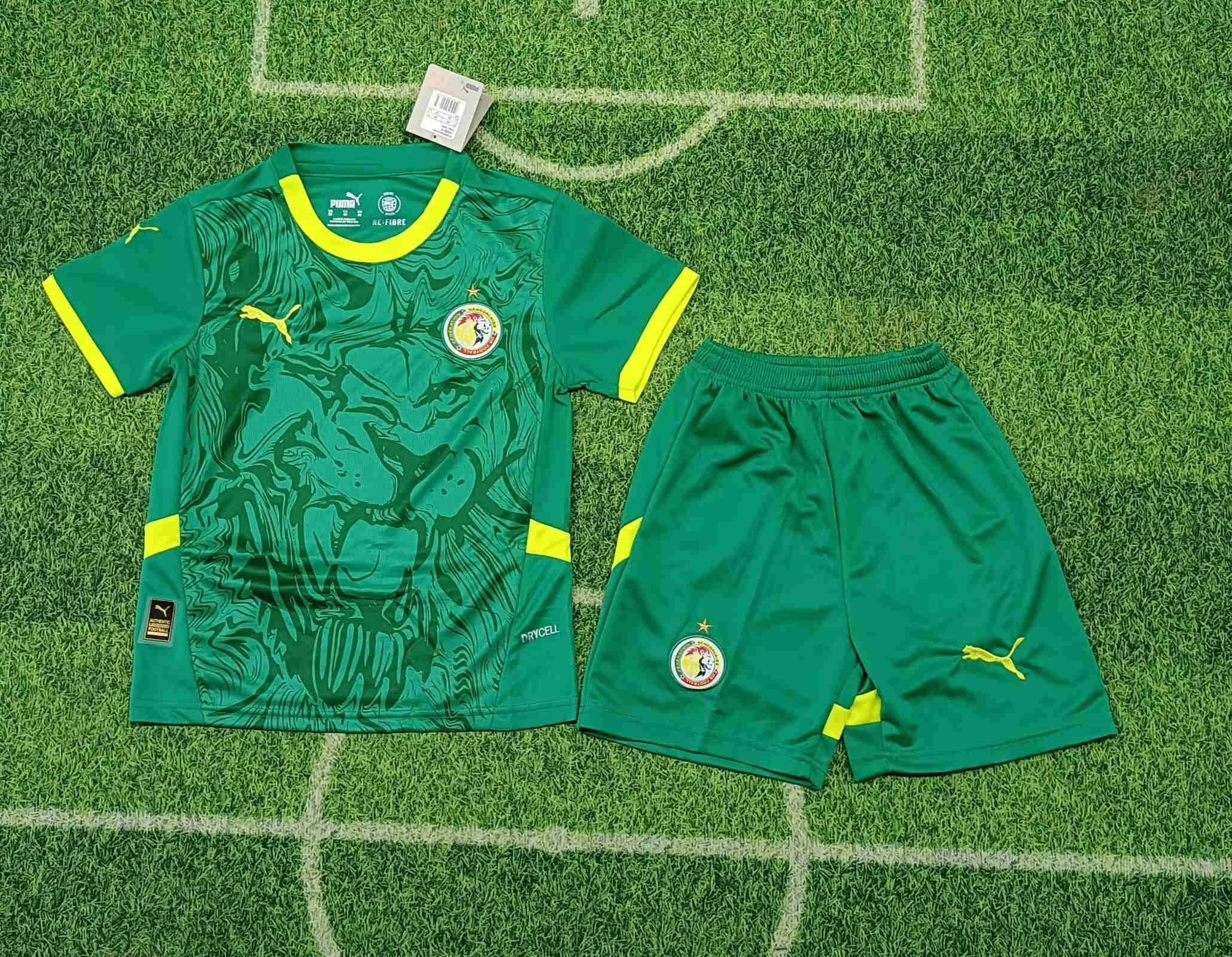 2024-2025 Senegal away  kids kit 