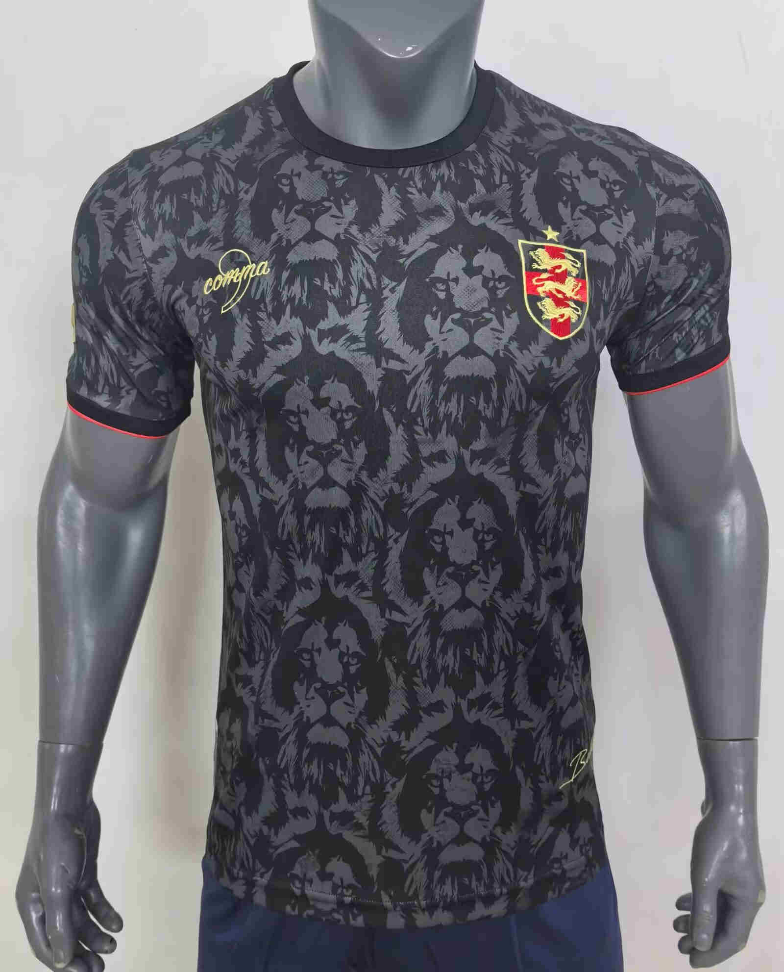 2024-2025  England Special Edition Jersey